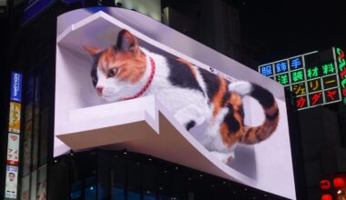 3D Cat Shinjuku