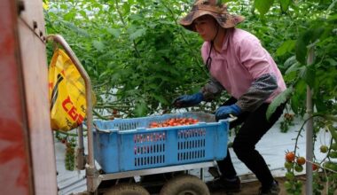 Japan faces shortage of almost a million foreign workers in 2040