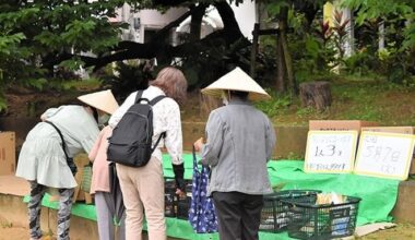 Okinawa elderly face difficulties with many not getting a pension