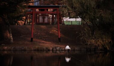 Pond near Todaiji, Nara Park