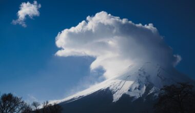 Fuji Views from Last Sunset to First Sunrise ('23-'24)