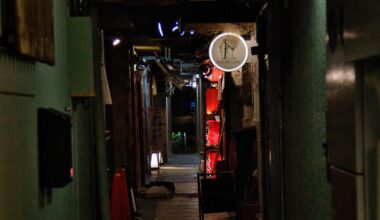 Alley in Ponto-cho, Kyoto