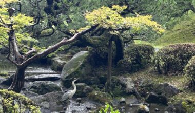 A grey day in Kyoto - Heian-jingu garden