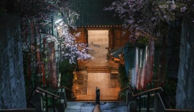 Blossoms and Blurs: Evening at Gumyoji Temple's Gate・仁王門から弘明寺の本堂へ続く石段には上りと桜が