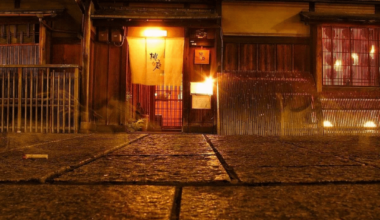 Textures of the night on Hanamikoji St.