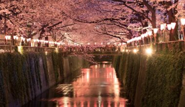 Meguro River