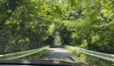 Country drive in Fukuoka. So green