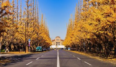 Tohoku kōyō (autumn foliage) timing