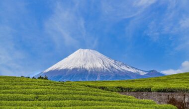 Mt Fuji with Tea plantation from Oobuchisasaba, Shizuoka