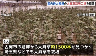 6 foreigners arrested after Marijuana growing warehouse was found in Saitama