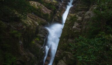 Yakushima Gorge