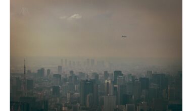 View from the Tokyo Skytree