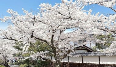 Trip Report - 6 nights in Kansai - somewhat off the beaten path