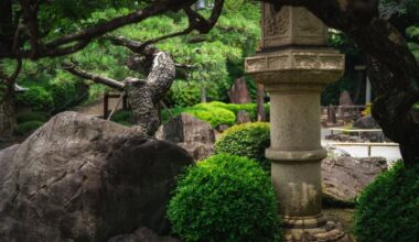 Tokyo Temple