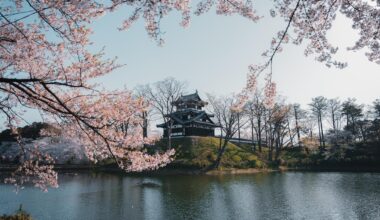 Takeda Castle in spring