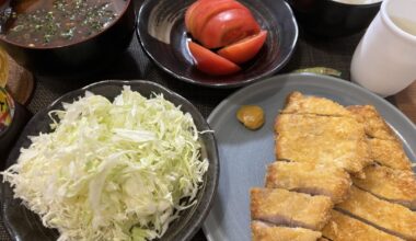 Made tonkatsu for dinner and had leftovers so I made a katsudon bento