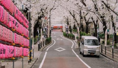 Sakura Street