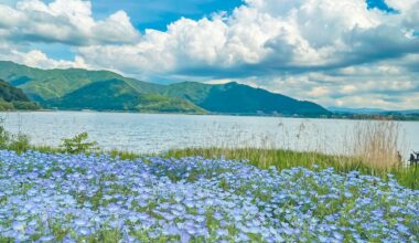 Lake Kawaguchiko