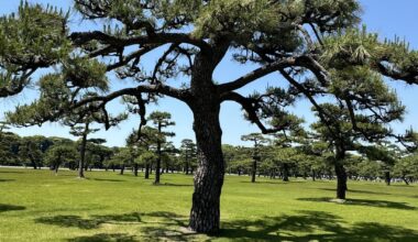 Kokyo Gaien National Garden