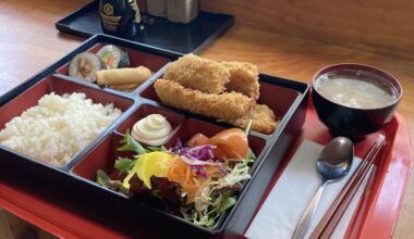 Fish Katasu Bento