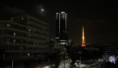 Tokyo Tower Under the Moonlight 🗼