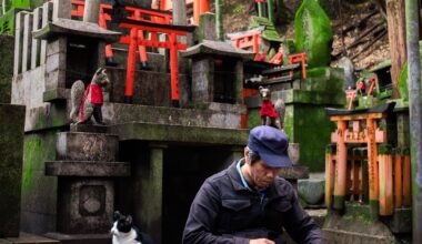 Cat Whisperer by the Fushimi Inari Shrine in Kyoto, Japan