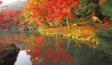 Fall foliage colors at the moment?