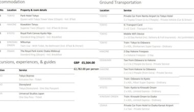 Itinerary/Price Check - 11days