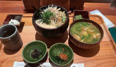 Vegetarian donburi at JR Nagano station - lots of fermented toppings (forest vegetables?)