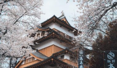 Takashima Castle (you guys seem to like my castle pics)