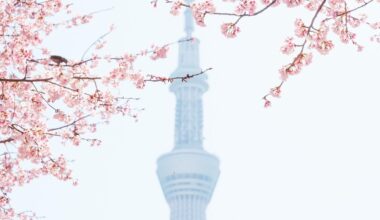 Tokyo Skytree (March 2024)