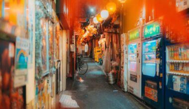 Omoide Yokocho without a soul...