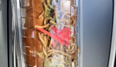 Yakisoba Sandwich