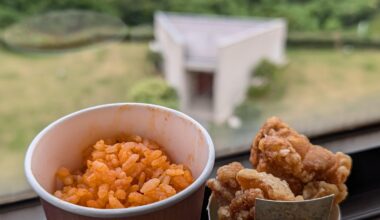 Is there a difference in taste between Japanese fried chicken and American fried chicken? Or are they almost the same?