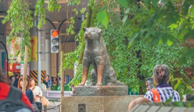 Hachiko Statue ❤️