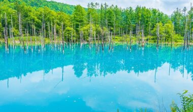 Hokkaido biei 北海道 美瑛町