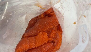 I have a ton of freshly caught salmon roe