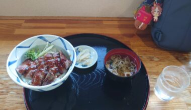 "Yamagata Beef Steak Bowl" at Sagae Service Area on the Yamagata Expressway