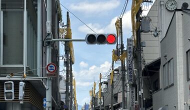 What are these yellow mesh nets around the utility poles?