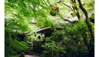 Ruriko-in Temple, Kyoto