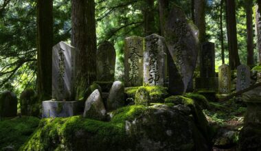 A small cemetery in a mountain gorge, covered in moss, Yamanashi Prefecture