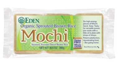 Mochi bricks/slabs in the U.S.?