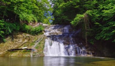 Awamata Falls: Enjoy Meditation and Forest Bathing