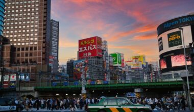 Shinjuku Crossing