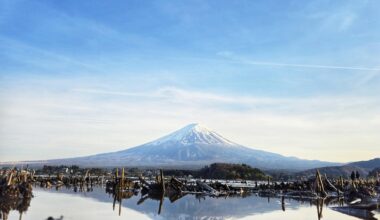 Mt. Fuji