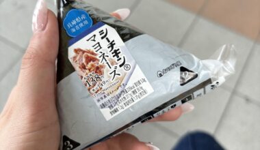 The BEST onigiri flavour (imo)  🍙