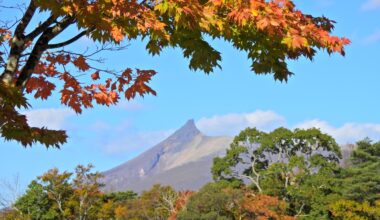 Fall Colors in Onuma Park Hokkaido.