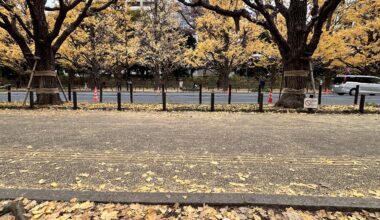 Autumn in Tokyo