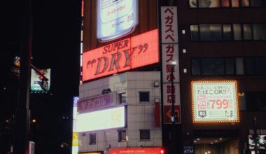 Sapporo Neon