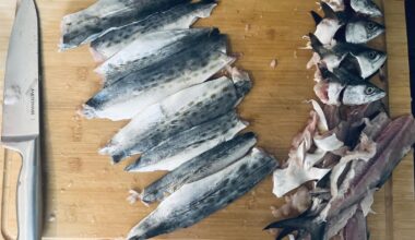 I caught some mackerel so I tried making sushi for the first time. Shime Saba & Katsu Curry.